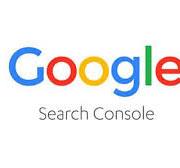 Search Console Logo